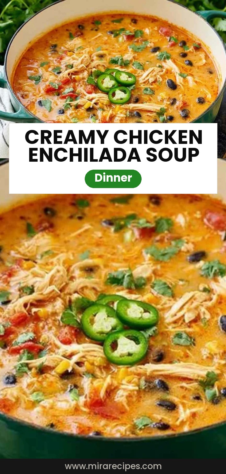 creamy Chicken Enchilada Soup
