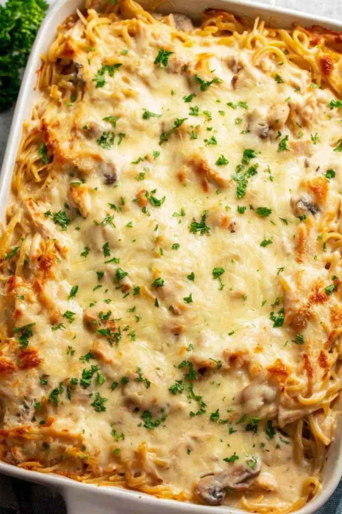 Chicken Tetrazzini pasta 3 683x1024 1