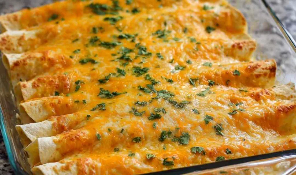 chicken enchiladas 2 1 1024x607 2